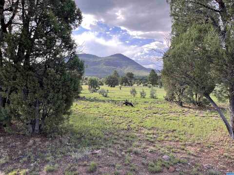 58 Brown Lane, Reserve, NM 87830