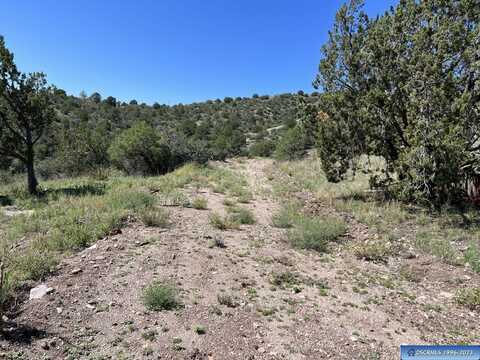 96 San Tomas Road, San Lorenzo, NM 88041