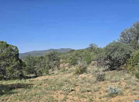 Bonney Trail, Silver City, NM 88061