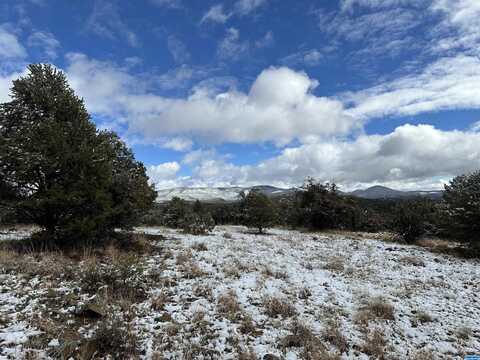 Xxx XYZ Ranch Road, Silver City, NM 88061