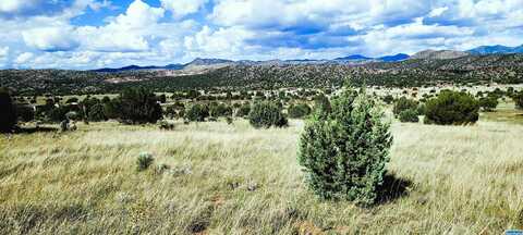 Lot 2 Poncho Road, Mimbres, NM 88049