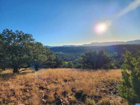 Crown T Ranch Road, Silver City, NM 88061