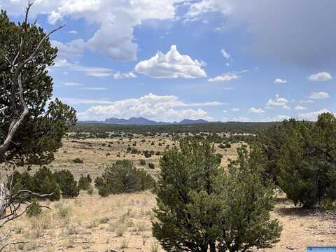 Lot 3 A& B Ponderosa Ranch Road, Pie Town, NM 87827