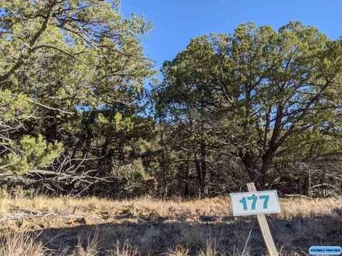 L177 N Swan Street, Silver City, NM 88061