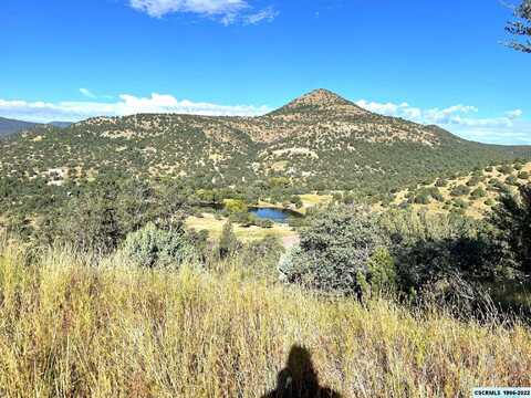 Lot 12a Rachel Road, Silver City, NM 88061