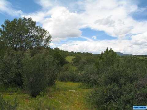 Tract C XYZ Ranch Road, Silver City, NM 88061