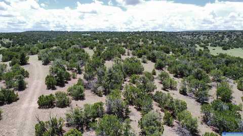 Lot 46 Cimarron Drive, Quemado, NM 87829