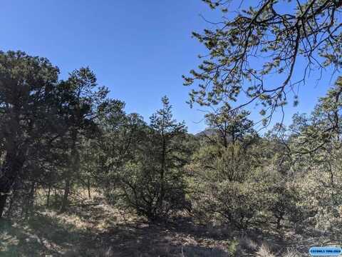 4767 Swan Street, Silver City, NM 88061