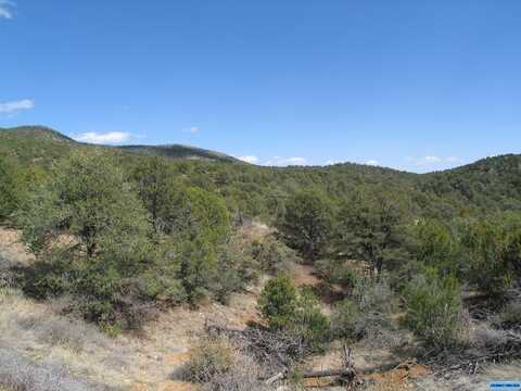 00 Camino De Viento Road, Silver City, NM 88061