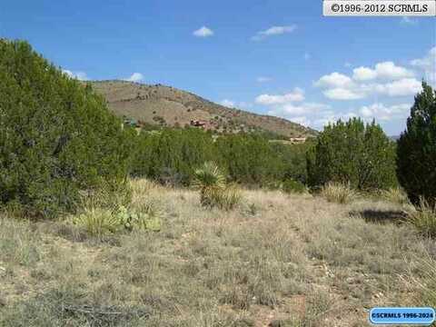 297 Caballo Blanco Road, Mimbres, NM 88049