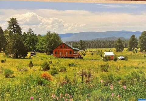 99 Double J Ranch Road, Luna, NM 87824