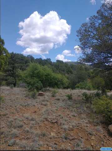 Cleveland Mine Road, Silver City, NM 88061