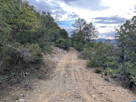 Radio Tower Road, Pinos Altos, NM 88053