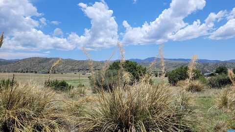 269 Camino de Vida, Mimbres, NM 88049