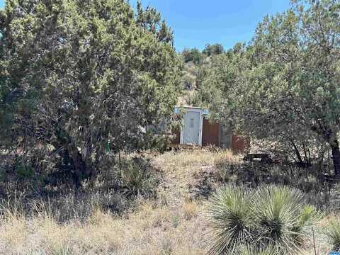 38 1/2 Century Drive, Mimbres, NM 88049