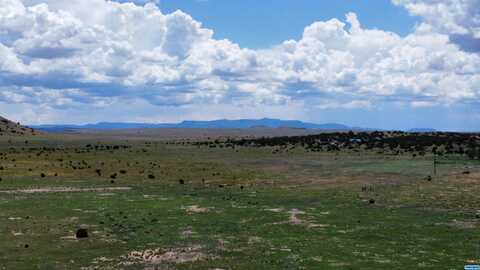 Lot 144 Quail Road, Quemado, NM 87829