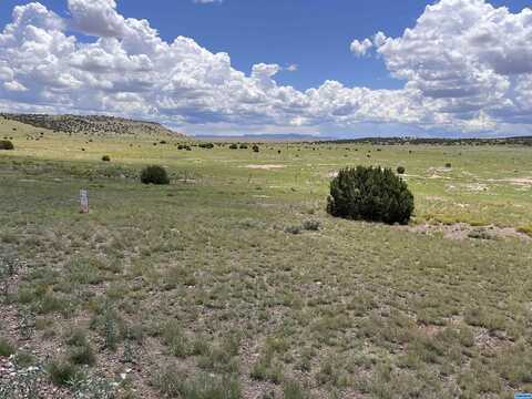 Lot 145 Quail Road, Quemado, NM 87829