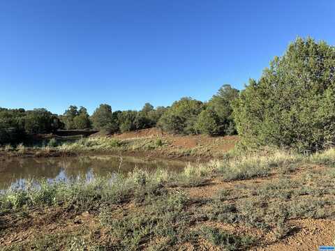 Aa XYZ Ranch Road, Silver City, NM 88061