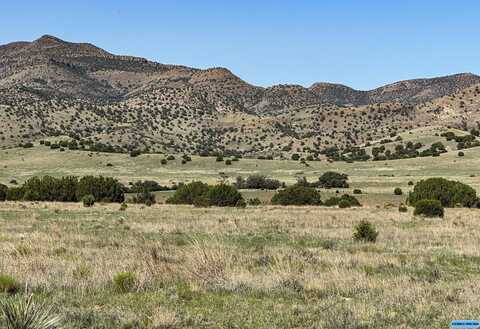 Tbd Wilson Road, Mimbres, NM 88049