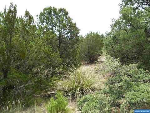 318 Las Palomas Road, Mimbres, NM 88049