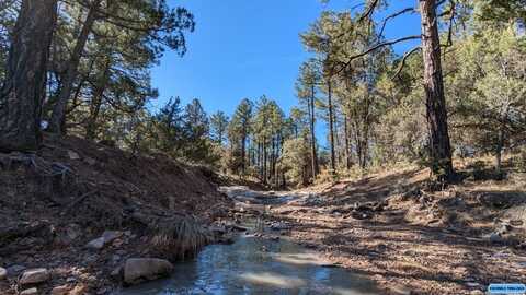 1xxx Old Telegraph Ridge Road, Silver City, NM 88061