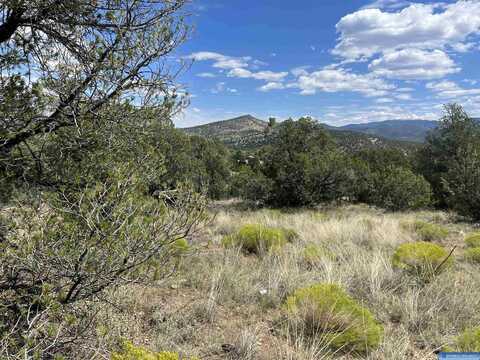 2 Ruby Lane, Reserve, NM 87830