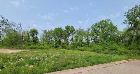 Lot #6 Woodland Drive, Hazel Green, WI 53811