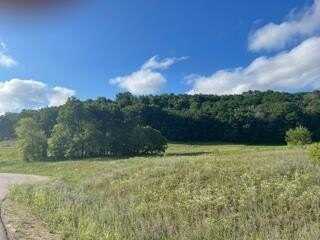 Lot 4 Pheasant Trail, Richland Center, WI 53581