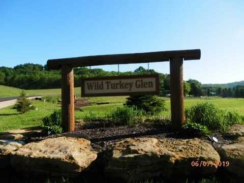 L9 Wild Turkey Lane, Richland Center, WI 53581