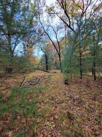 L55 19th Creek, Arkdale, WI 54613