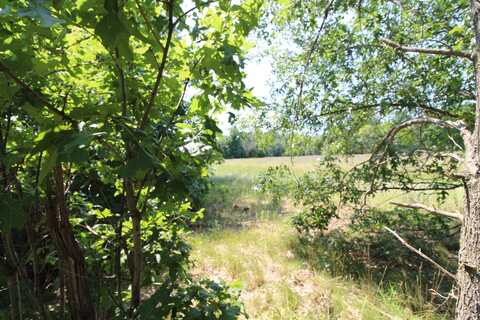 Lot19 Timber Trail, Spring Green, WI 53588