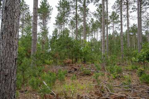 Lot 9 Bollig Court, Nekoosa, WI 54457