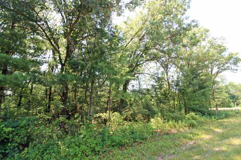 Lot14 Timber Trail, Spring Green, WI 53588