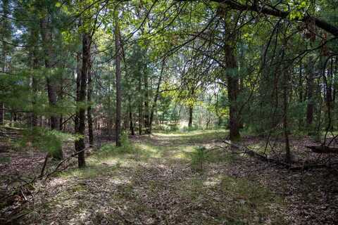 Lot 4 Meadow Drive, New Lisbon, WI 53950