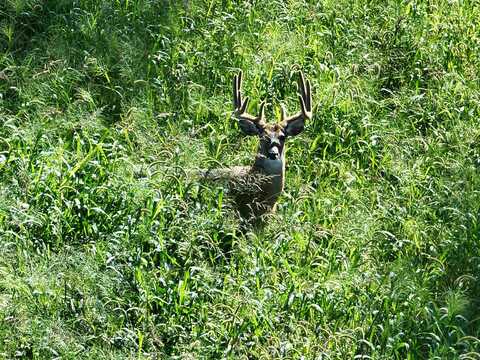 Highway TB Acres, Richland Center, WI 53581