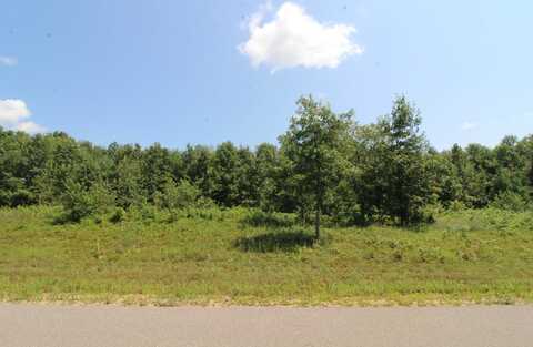 L1 White Pine, Spring Green, WI 53588