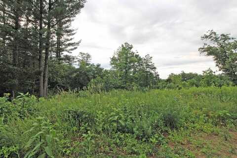 Lot 8 Spruce, Spring Green, WI 53588