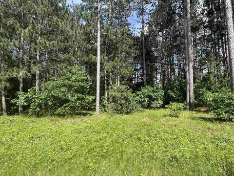 Lot 12 Cabin Court, New Lisbon, WI 53950