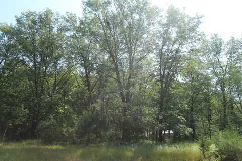 Lot 53 Tomahawk Trail, Montello, WI 53949