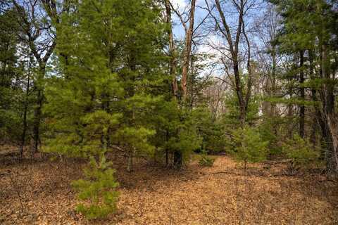 Lot 188 18th Lane, Friendship, WI 53934