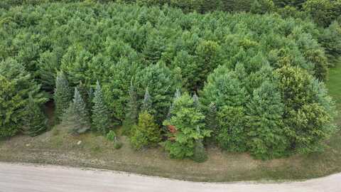 Lot #4 Sandy Pines Court, Redgranite, WI 54970