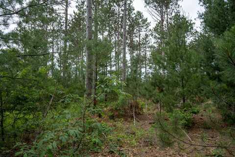 Lot 1 Bollig Court, Nekoosa, WI 54457