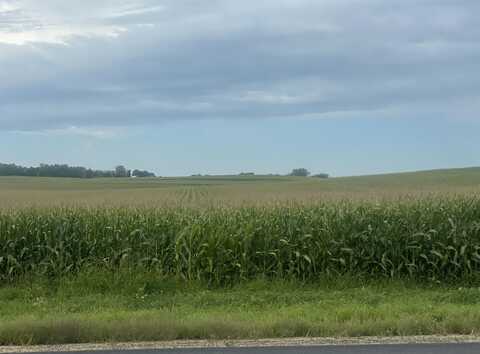 40 Acres Highway 60, Arlington, WI 53555