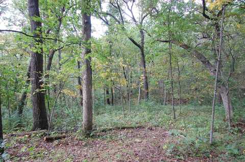 17.63 Acres Biglow Hill Road, Avoca, WI 53506