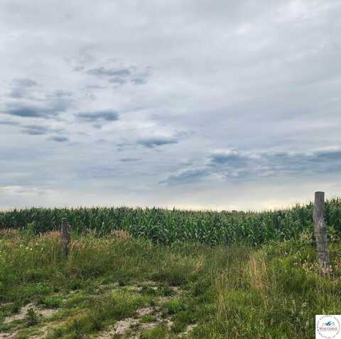 55+/- Acres E 235th, Pleasant Hill, MO 64080