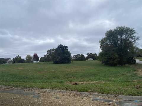 Lot 9 & 49 Elm, Warsaw, MO 65355