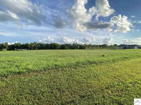 22970 Rolling Hills, Sedalia, MO 65301