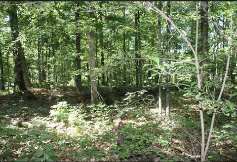 Lot 9 &amp; Lot 10 Mattingly, Wappapello, MO 63966