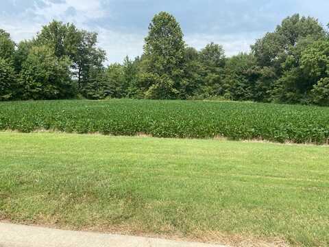 Lot 23 Brookfield Drive, Dexter, MO 63841