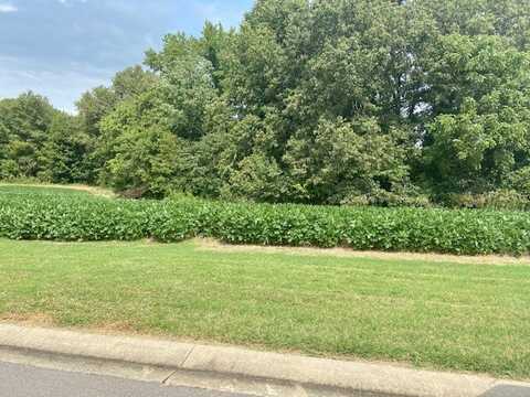 Lot 24, Brookfield Drive, Dexter, MO 63841